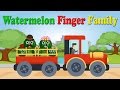Watermelon Finger Family Songs For Kids Nursery Rhymes