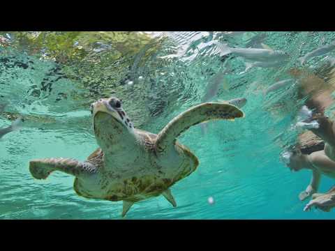 FOCUS ON...Bora Bora