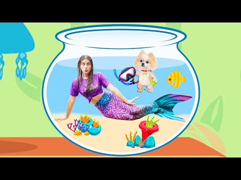 MILENINHA TURNED A MERMAID IN THE POOL PLAYING WITH THE BELINHA DOG