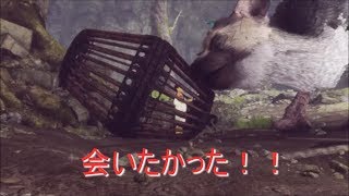 まったりと【人喰いの大鷲トリコ】実況プレイー8