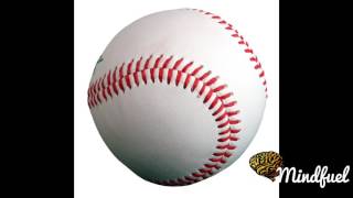 Lars Huijer Documentary