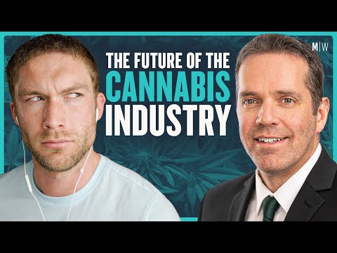 How Does The Cannabis Industry Work? - Chris Walsh | Modern Wisdom Podcast 333
