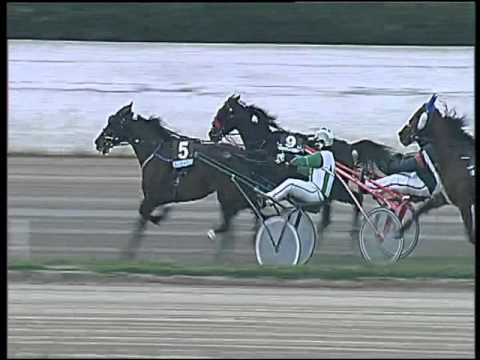 Trotto 19/01/2016 - 4° corsa