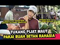 TUKANG PIJAT INI PAKAI BUAH SETAN RAHASIA