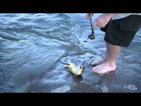 Fishing the Orange River