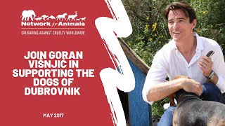 Join Goran Višnjić in supporting the dogs of Dubrovnik