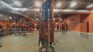 Miniature de la vidéo