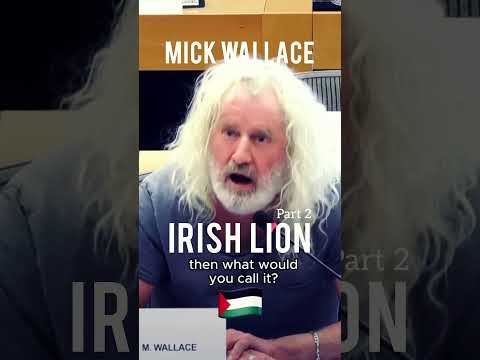 Mick Wallace, Irish Lion speaks out for Palestinians! Pt.2