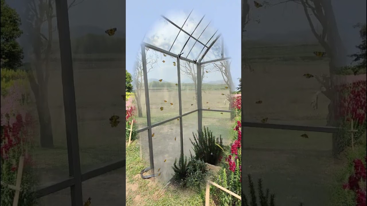 YouTube Short thumbnail