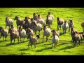 Imany - Grey Monday Anton Bozhinov Remix 