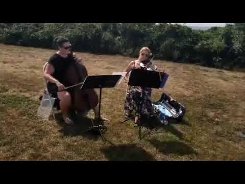 Promotional video thumbnail 5 for Classy Strings