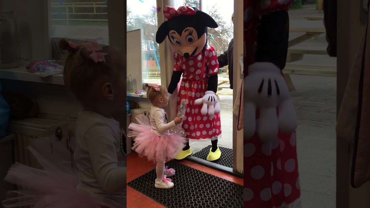 Minnie mouse feestje kinderfeestje