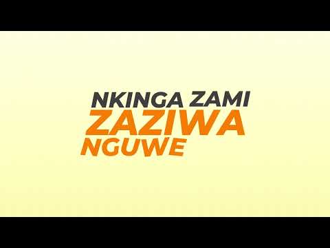 Darque, Sjava, Jnr SA - Mngani (Jnr SA Remix) (Official Lyric Video)