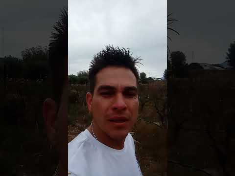 Entre viñedos. Hostería & Bodega Valle D'Vino. en Uriondo/Tarija