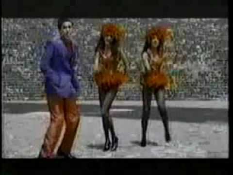 The Sacados - Hablandole a la Pared