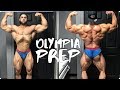 Bodybuilding Road To The Mr Olympia | Regan Grimes | 13 Days Out