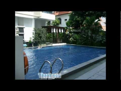 iViewing - Blu Coral