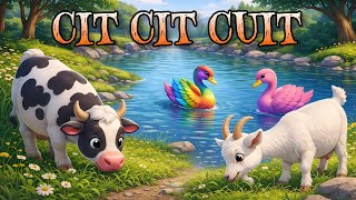 Download lagu LAGU ANAK 🇮🇩 CIT CIT CUIT 🐦 BURUNG BERNYANYI - BEBEK BERENANG - LAGU ANAK VIRAL mp3