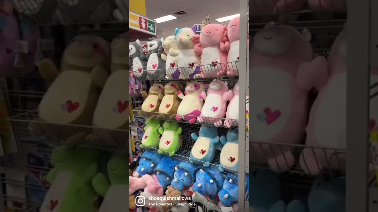 Me finding 14” Caedyn Hugmee at Burlington!