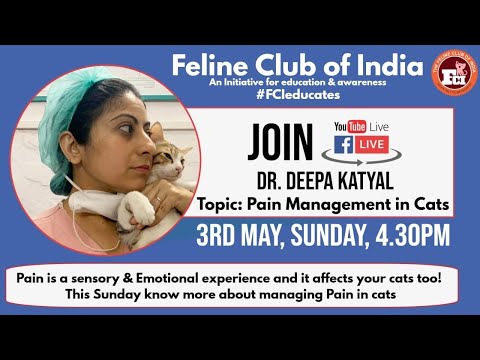 Webinar #4: Pain Management in cats by Dr.Deepa Katyal