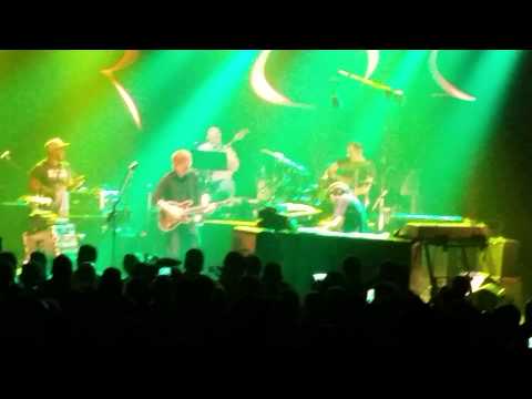 Trey Anastasio "Sweet & Dandy"
