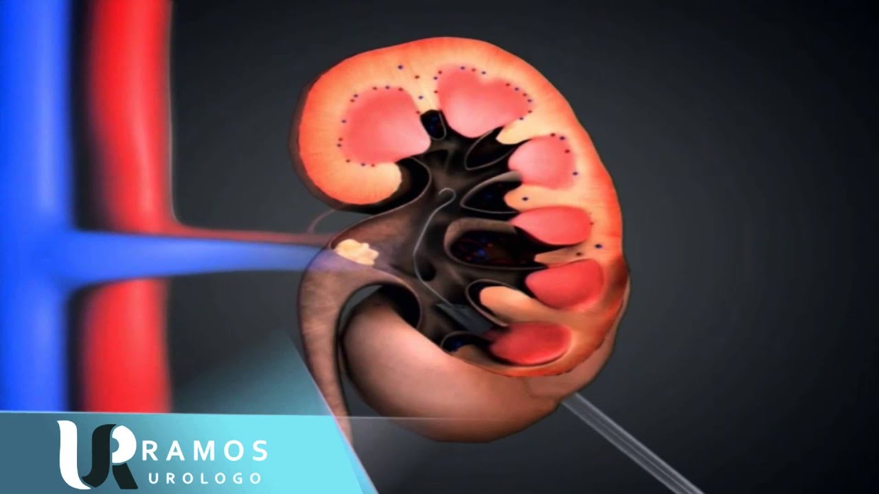 Francisco Ramos Salgado-20