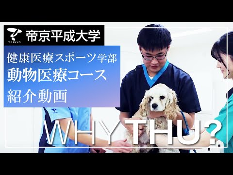 【紹介動画】帝京平成大学　動物医療コース（千葉キャンパス）