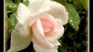 Korpiklaani - you looked into my eyes