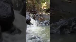 Download lagu Suara Air sungai mengalir #shorts mp3