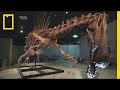 Bigger Than T. rex: Spinosaurus | National Geographic