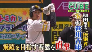 動画のサムネイル