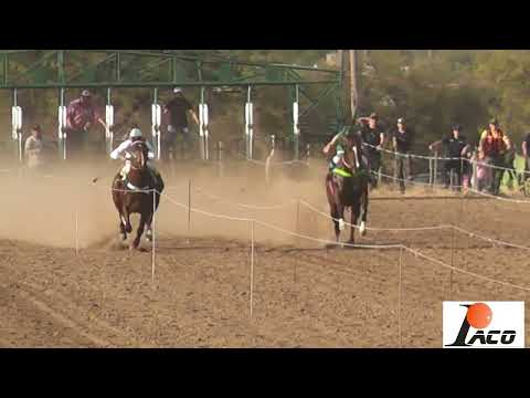 TRES SEIS HIPODROMO LA HECHICERA CRUZ DEL EJE 24 7 2022