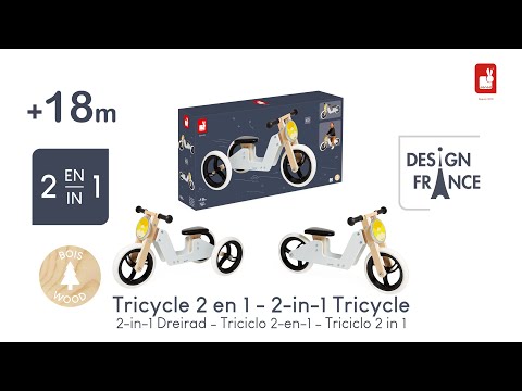 Беговел Janod Трехколесный велосипед 2в1 (J03280)