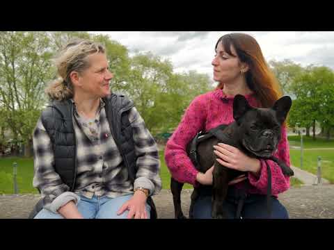 Der Dog Coach Folge 12 - Arbeit mit dem Futterbeutel