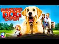 DIAMOND DOG CAPER FULL MOVIE Family Adventure Dog Movie