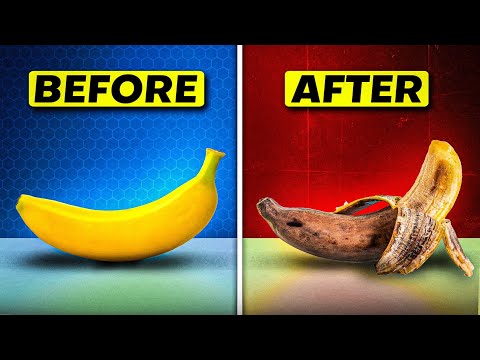 8 Things Destroying Your NUNU