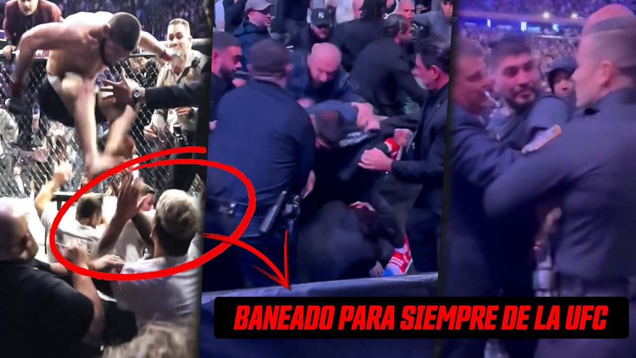 TEAM KHABIB vs Dillon Danis! ¡PELEA SALVAJE en el PÚBLICO!