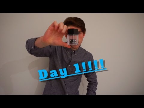 Day 1 Dice Illusion