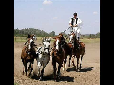 Hungarian Song - Marta Eggerth "Ein Sehnsucht brennt..." Hungarian Song,  1938