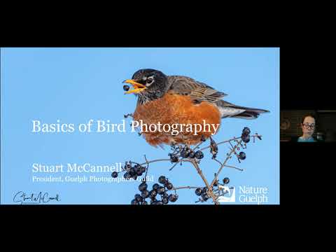 Nature Guelph Virtual Bird Wing Series - Basics of Bird Photography - May 25, 2021