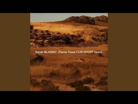 Video thumbnail for Flame Trees (Cub Sport Remix)