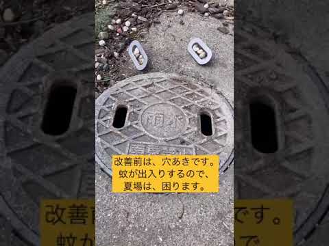 侵入者を自然に撃退する最高の蚊よけ植物13選  庭園