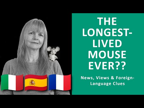 Singing with a Mouse, Things I Forgot + Words & Phrases in IT, ES, FR
