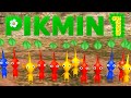 Pikmin 1 switch Full Game 100 Walkthrough