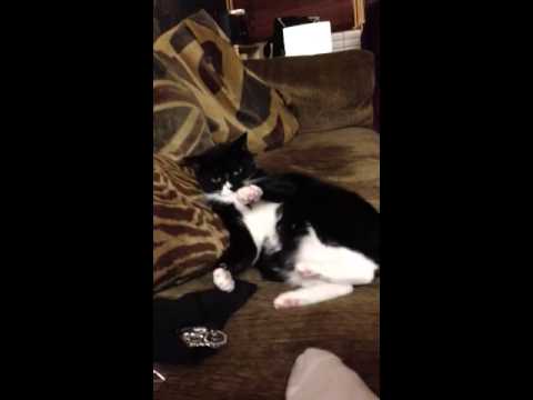 Stop it, I want to sleep