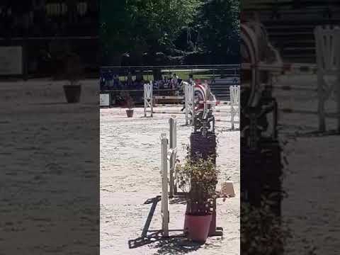 Diawel ar Crano - As 2D Pompadour juin 21