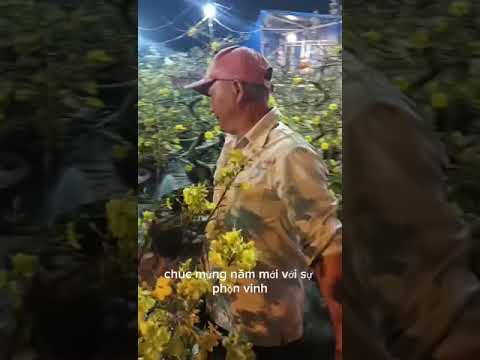tiện hoa kim sen - nhơn trạch đồng nai