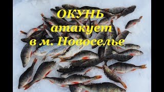 Деревня малое новоселье рыбалка
