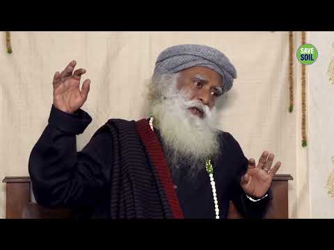 What To Do When You Are Confused | Sadhguru | Shemaroo Spiritual Life #sadhguru #spirituality