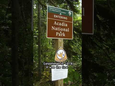Discover Acadia National Park's Coastal Wonders